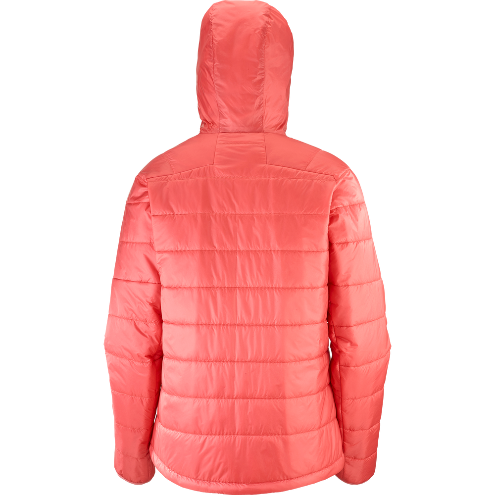 OUTLINE HOODED