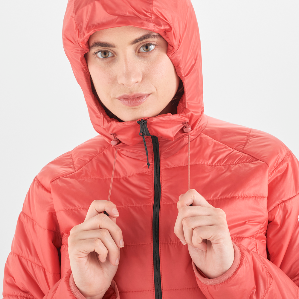 OUTLINE HOODED