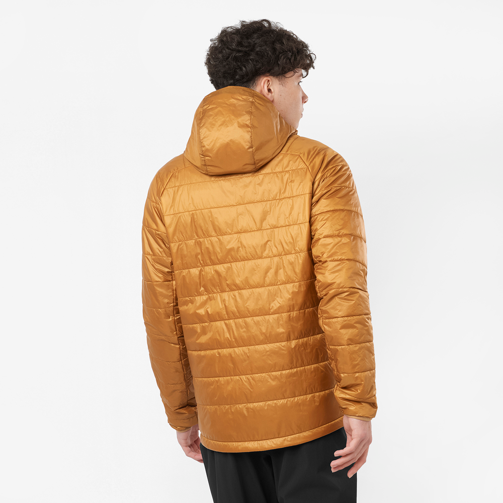 OUTLINE HOODED
