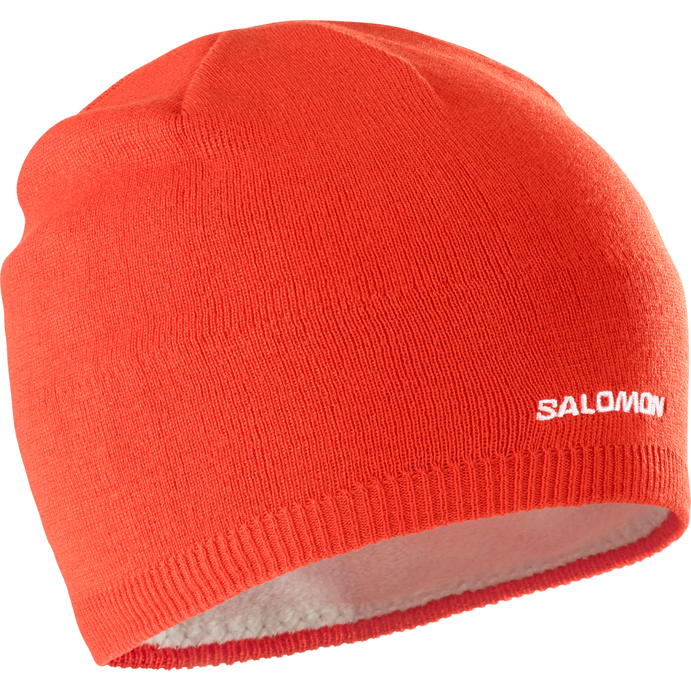SALOMON