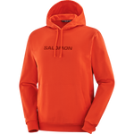 SALOMON LOGO PERFORMANCE