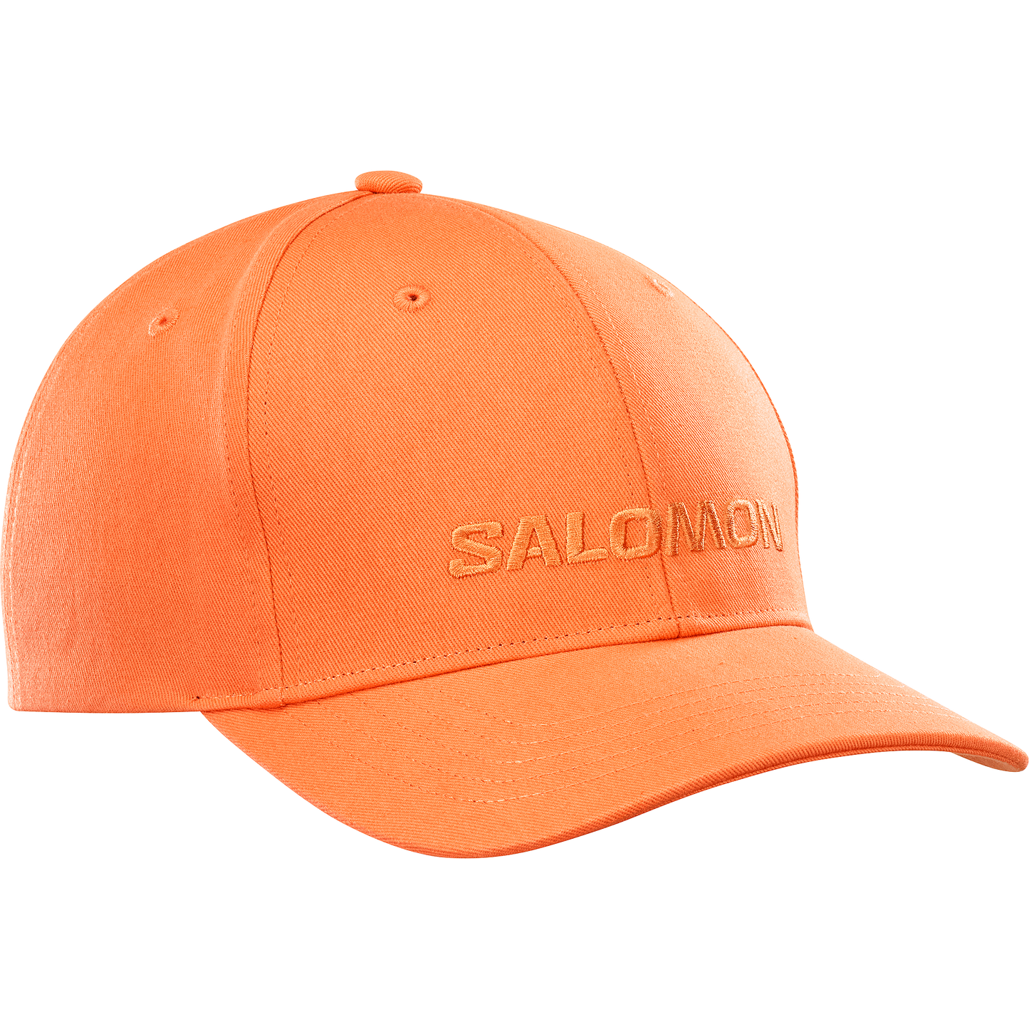 SALOMON LOGO