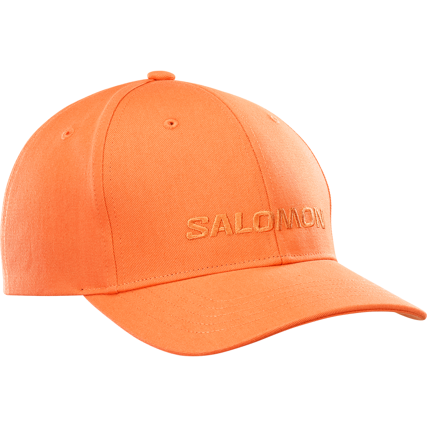 SALOMON LOGO