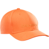 SALOMON LOGO