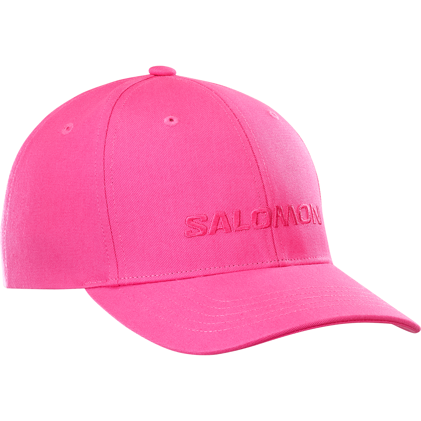 SALOMON LOGO