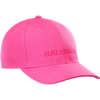 SALOMON LOGO