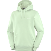 SALOMON LOGO