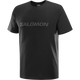 SALOMON LOGO