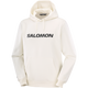 SALOMON LOGO