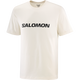 SALOMON LOGO