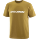 SALOMON LOGO