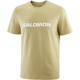 SALOMON LOGO