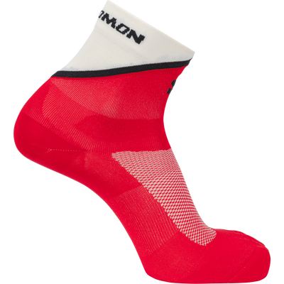 PULSE ANKLE