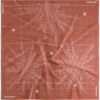 SALOMON BANDANA GRAPHIC