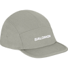 Castor Gray
