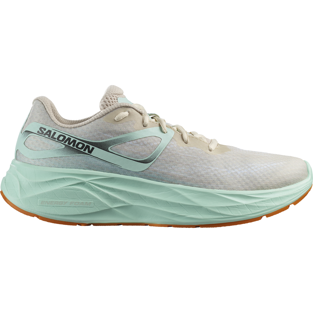 AERO GLIDE – サロモン公式オンラインストア